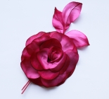 okrasna roza 2